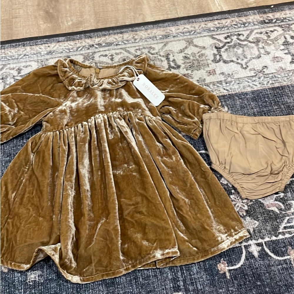 Noralee Golden Velvet Adaline Dress NWT